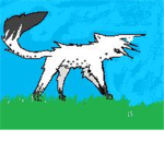 wolfs rule fans stop hunting wolves