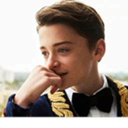 Noah Schnapp 💖 icon
