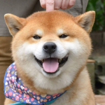 Shiba Union