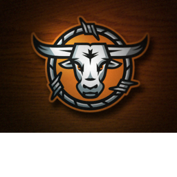 Oklahoma Outlaws™