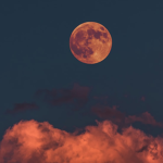 Moon DXT