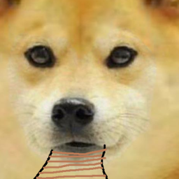cart ride into doge (FREE ADMIN)