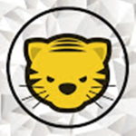 Fearfoxx Clothing
