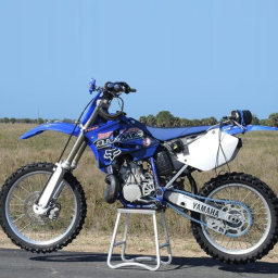 Dirt bike racing (NEW QUADS)