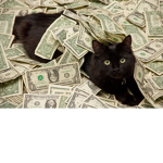 MyMoneyzThis