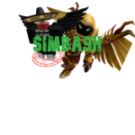 Simbash Clothing