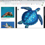 save tha turtles