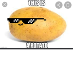 AISHU & POTATOEZ'S GROUPY