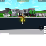 Kittyninja19573