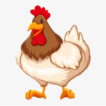 The Chicken's nest