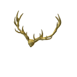 Antique Investor Antlers