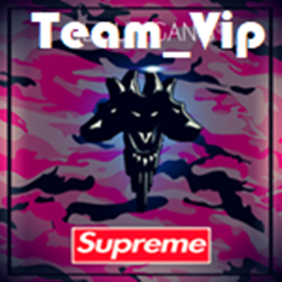 Team_Vip