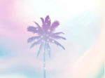 Summer days and summer sky’s