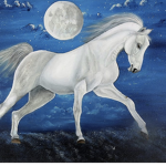 Hold Your Horses Riding Academy