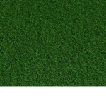 Plant_people