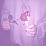 ❤ Rebellious Rose ❤