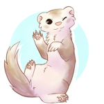 ferret fun