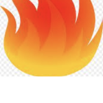 The Fire Bunch