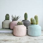 cactus squad <3