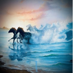 Ocean Riding Academy!!!