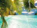 Tropical_Studios
