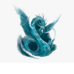 Nami Dragons