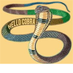 T.C.S.A The Cobra Shadow Academy