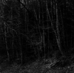 witchhouse'