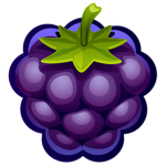 Blueberry café