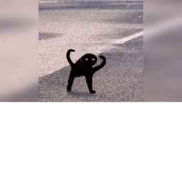 Cursed Images