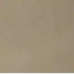 raid fan group of cool ppl