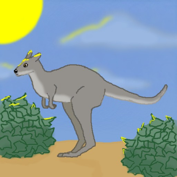 Wild Bushland