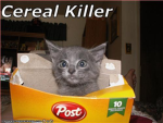 Cereal Killers