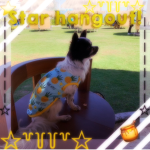 DaStarGirl