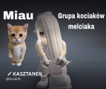 Grupa kociej melci