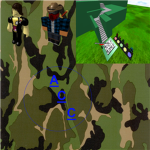 A.A.C.C(America And Canada Corps)