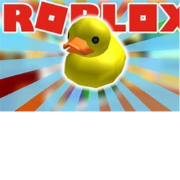 A mini duck obby