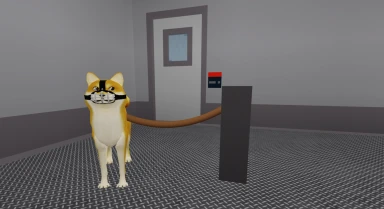 Dog Pound