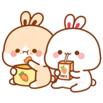 Bunnie's squad