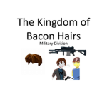The Kingdom of Bacon Hairs: Military Divison