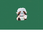 ~polarbears~
