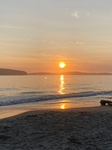 $unset Rose Sqaud