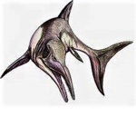 Prehistoric Marine Creatures
