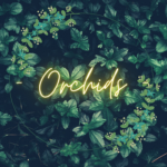 - Orchids -