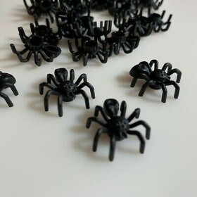 How It Feels To Be A Spider: Escape The House
