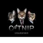 ᴄ4ᴛɴɪᴘ