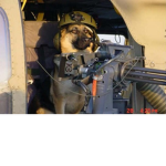 the top dog mafia