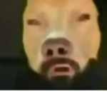 CowSauce