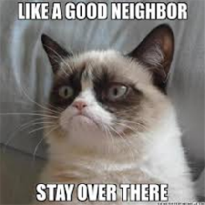 Grumpy Cat Roblox decal