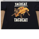 Taco cat gamers